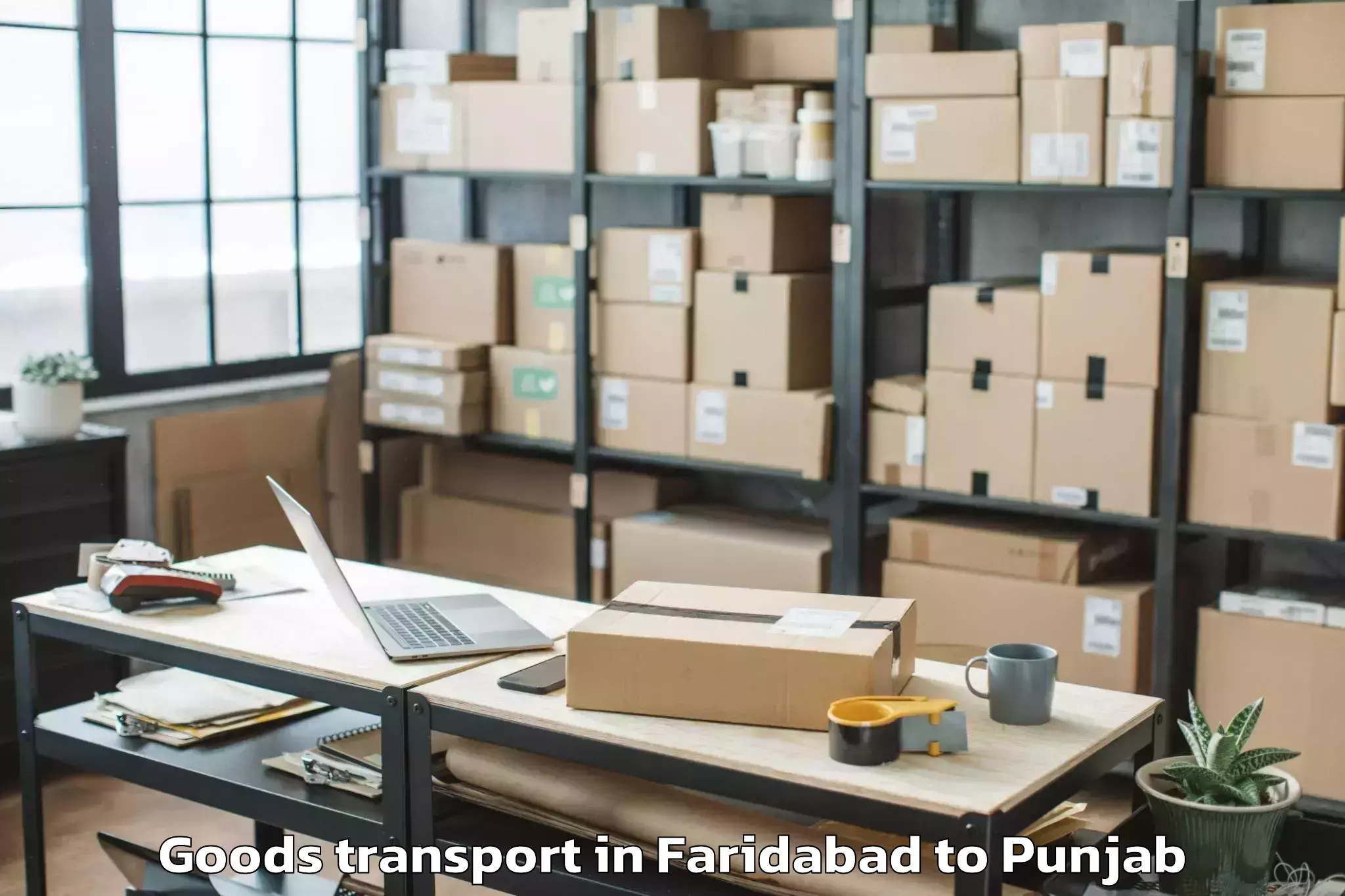 Reliable Faridabad to Gna University Phagwara Goods Transport